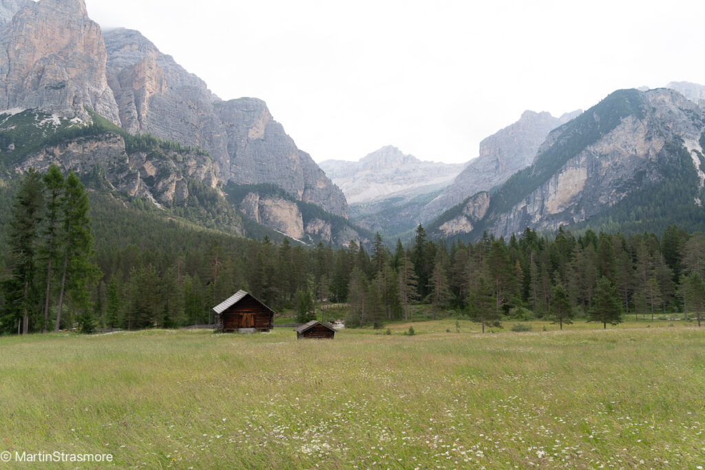 Rainy day across windswept Alpine meadows